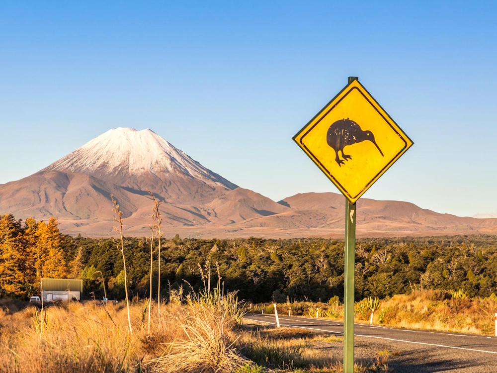 KiwiSign KwiRoadsign