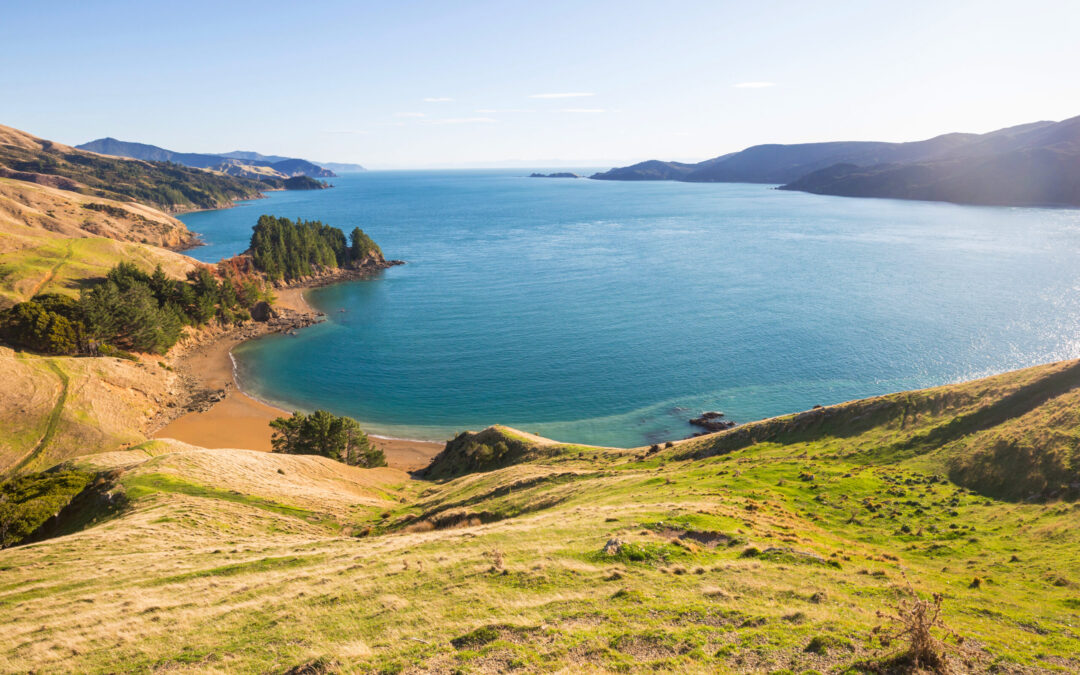 The Ultimate New Zealand Travel Guide